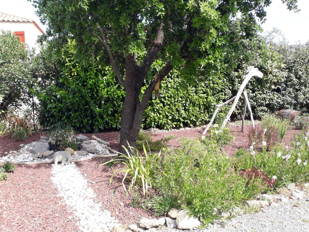 Domaine De La Clotte Bed & Breakfast Roquefort-des-Corbieres Luaran gambar