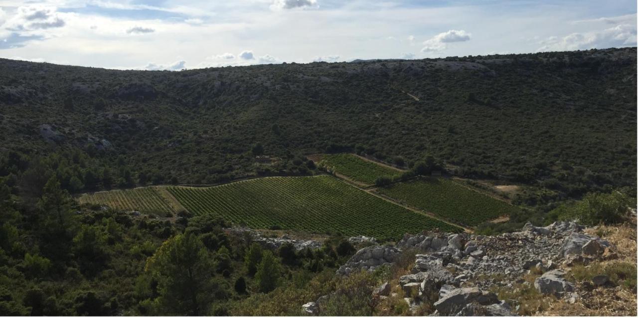 Domaine De La Clotte Bed & Breakfast Roquefort-des-Corbieres Luaran gambar
